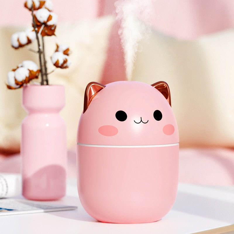 250ml Cute Air Humidifier Diffuser